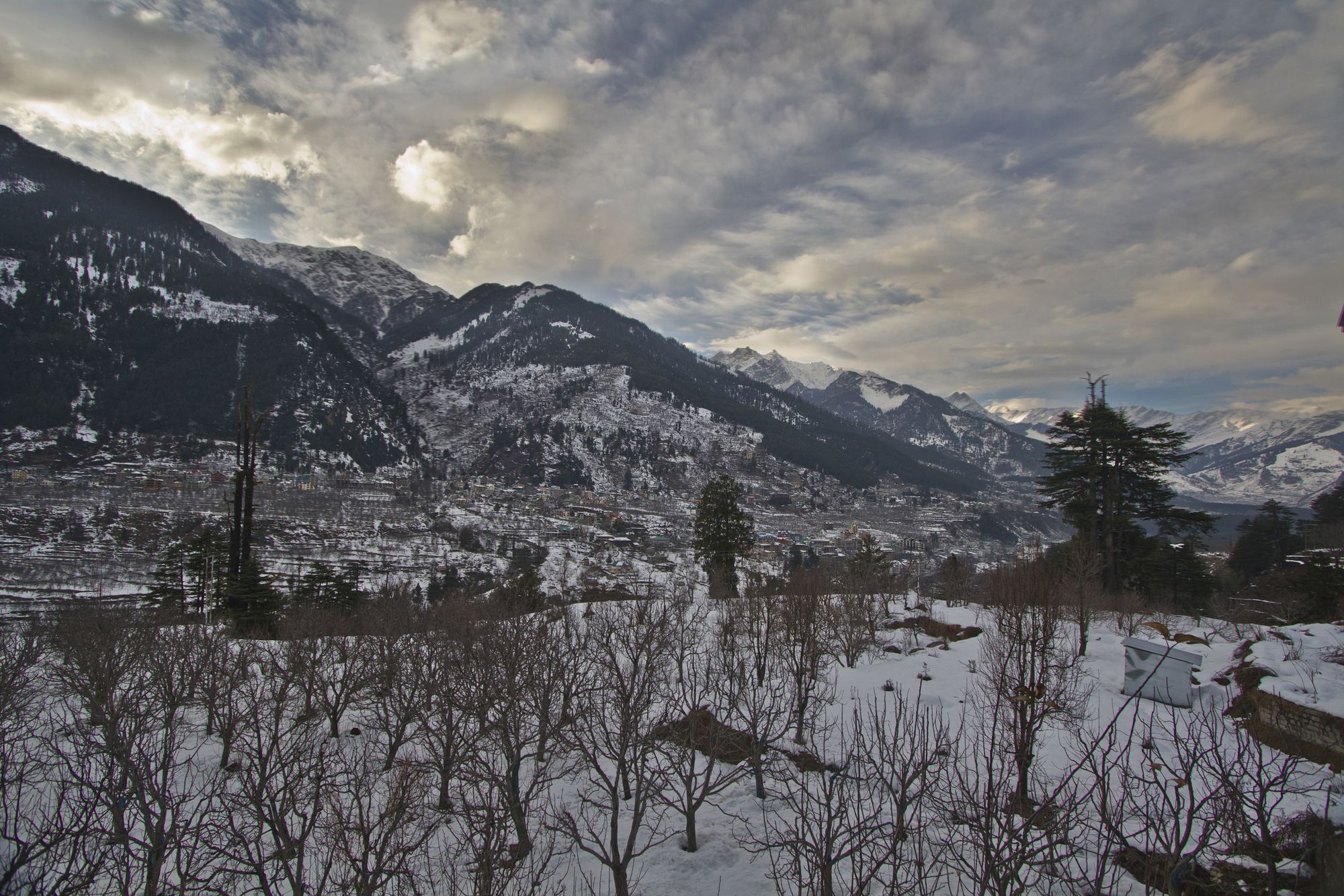 Hotel Mountain Face มะนาลี ภายนอก รูปภาพ